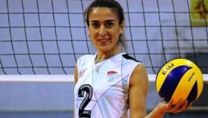 Deniz Üstünsoy, Adam Voleybol'da