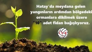 İVK'dan Hatay'a Fidan Bağışı