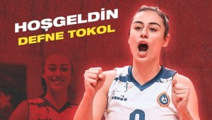 Defne Tokol, Mert Grup Sigorta'da
