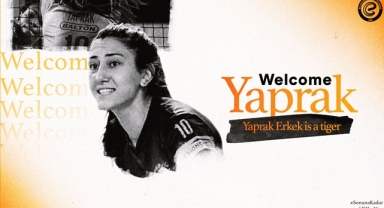 Yaprak Erkek, Eczacıbaşı Dynavit'te